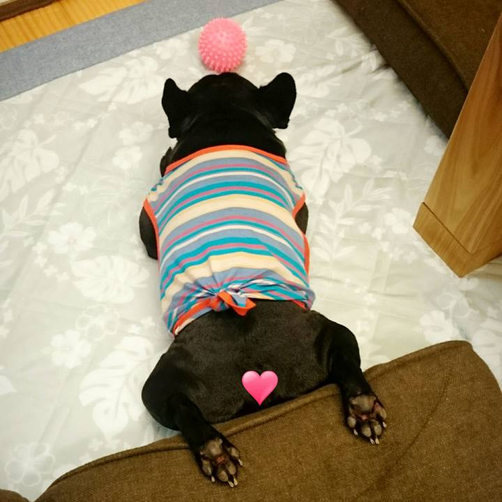 C0b20122 600e 4e27 9f49 e574eeb85c43