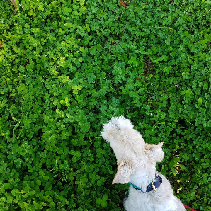 C0b22e73 5713 4a10 8c48 030874ace1bd