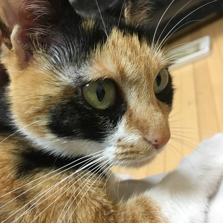 C0b25b64 8071 41f0 b188 9a92cefda350