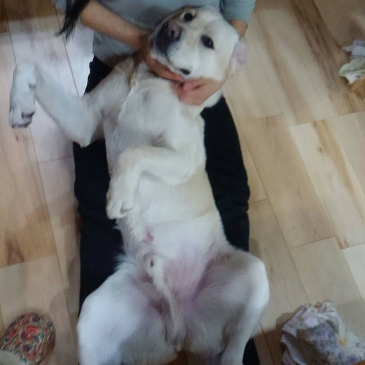 C0b26423 2427 4da4 9f8e e1d9b207c420