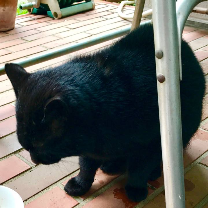 C0b2a74b fbda 4f1e 9822 9e4a4475995b