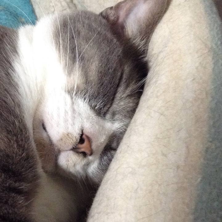 C0b2baa0 70bb 440d b4c0 6adb37d2d6b4