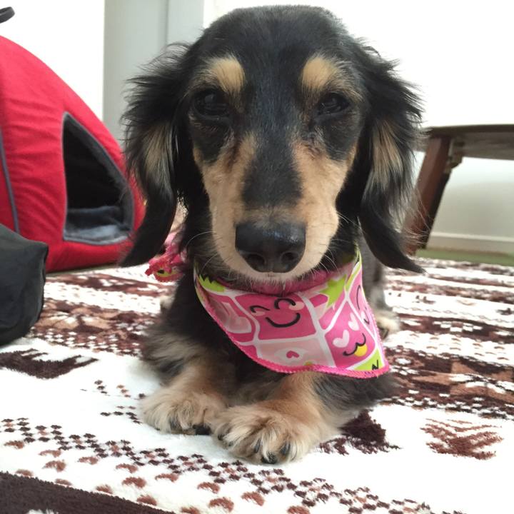 C0b2cb21 da5b 4225 9479 5284ddefd42a