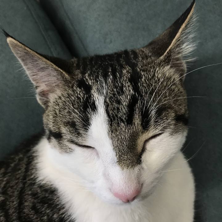 C0b32947 12cf 4bab b379 7e656982a165