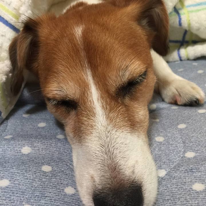 C0b3df96 7088 457b a31f 61ec9c890ee8