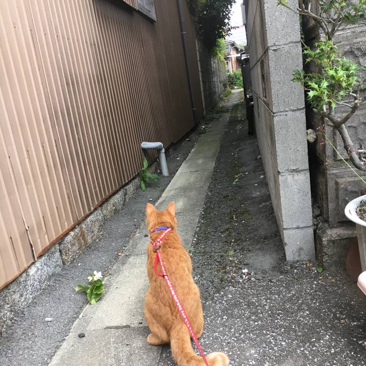 C0b42d02 6a0d 4666 9469 506478584618