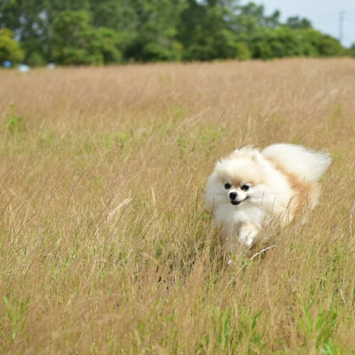 C0b4d303 1ab5 4748 93ec 97e5e082e267