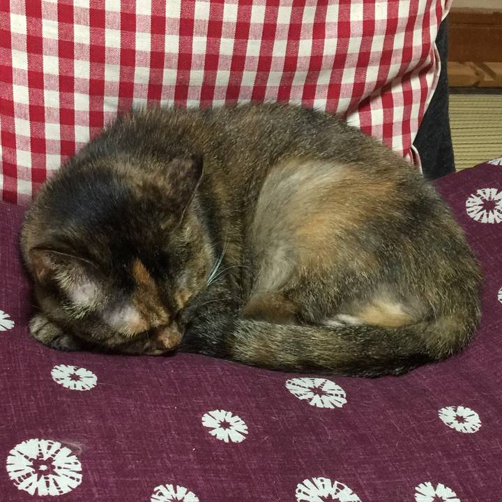 C0b52e02 1fbe 4c39 8f2e 143778b213e4