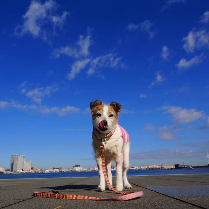 C0b57b0a 568f 4f82 ac6a e29b593b3184