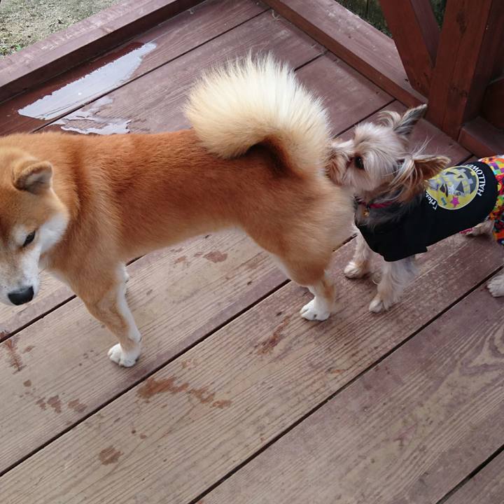 C0b6e739 16dc 4c6e ba18 7261510021ce