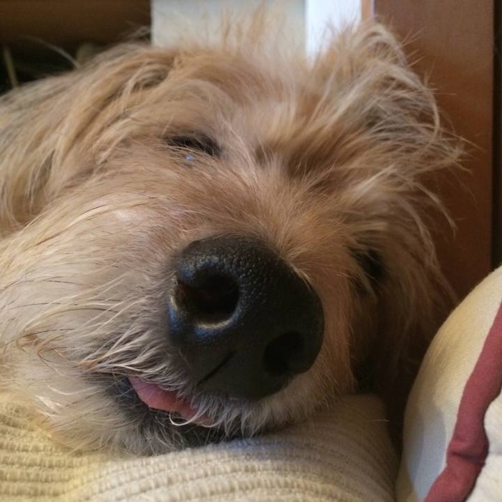 C0b794ea 2e3f 4aba 90fe da876673f109