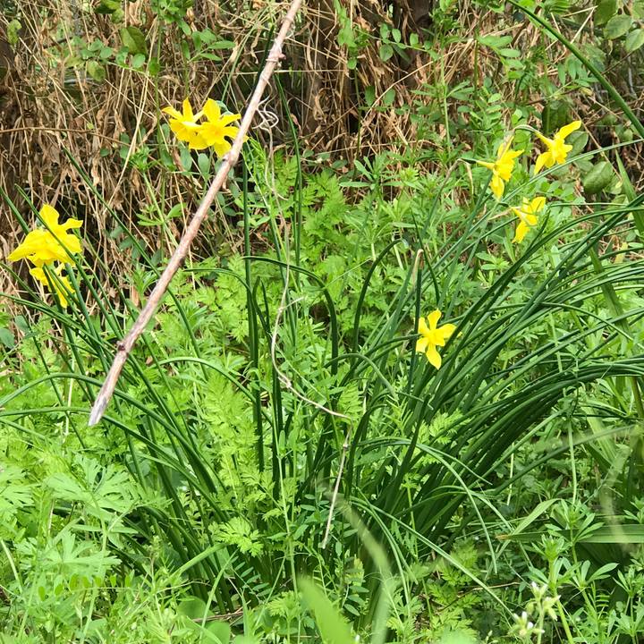 C0b7e4a1 afb9 497e 9981 fc3c608eb950