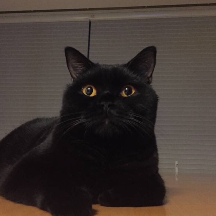 C0b89b60 b19b 4b6b 9e4b dd428d6bdce4