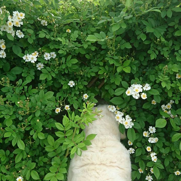 C0b89d6a 33dd 40fc 8ec7 a920a62befd5