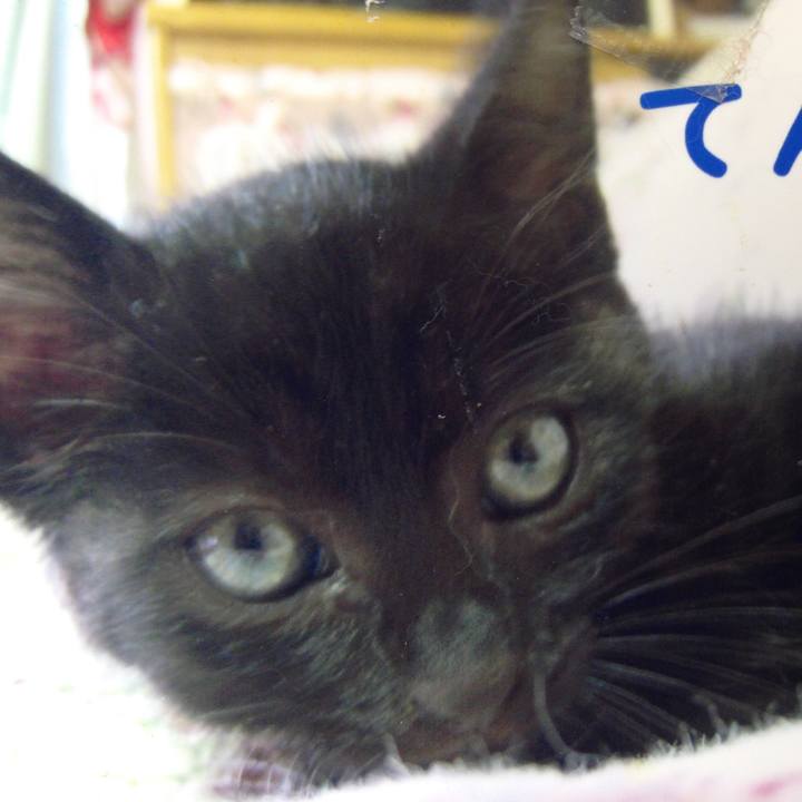 C0b8f236 f6c6 41b6 937d 414b7d251aa6