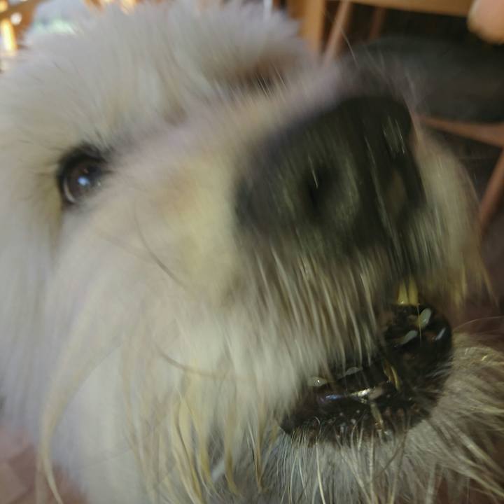 C0bad685 4a2f 444d 9f8b 131f6e27bca5