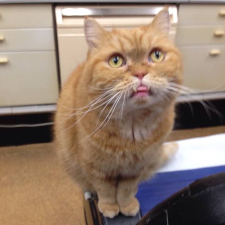 C0bb484e 0dbf 4ca2 bc8a cd7b241becf7