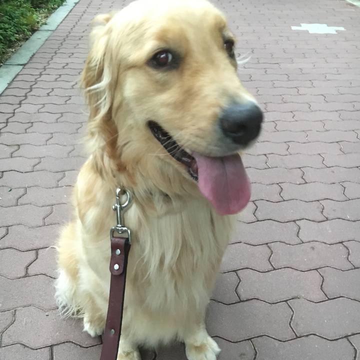 C0bb903a 4cde 4ab0 831d d1693574ec4a