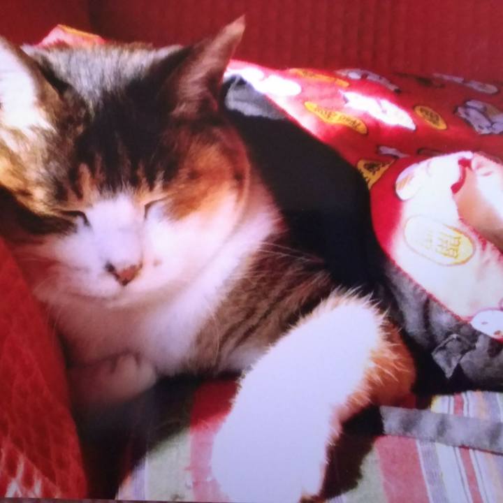 C0bbbc31 92b7 4768 9722 769fbbe6a7c9