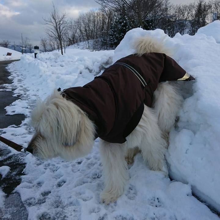 C0bc9de7 25b4 4ce0 a77e 124102a8214b