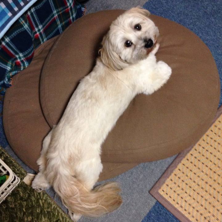 C0bca5ff 02fd 46ce a7d4 4d3308f34111