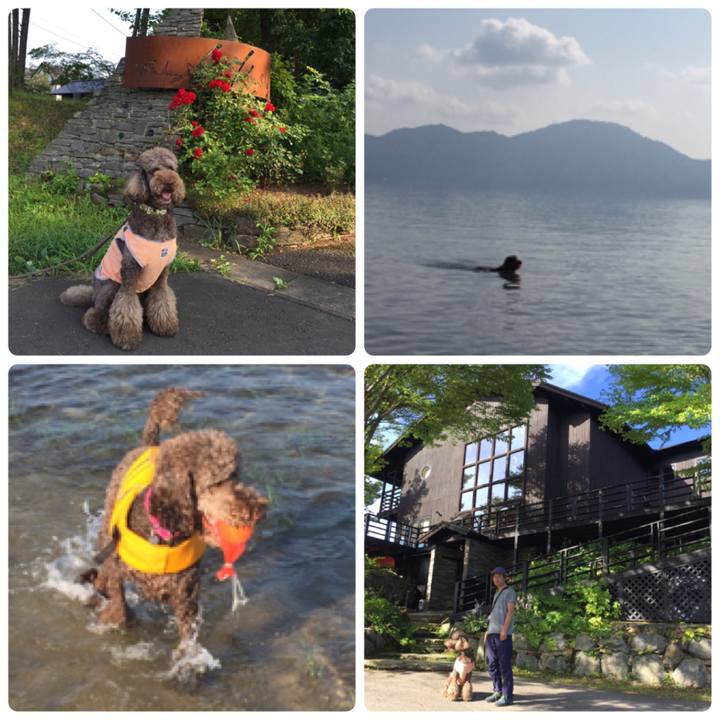 C0bca885 cb71 49dc b0c7 860ff17be8da