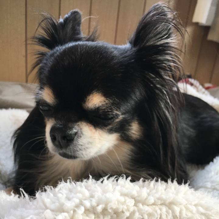 C0bcf806 0870 4caf 982a 6efb19768b2b