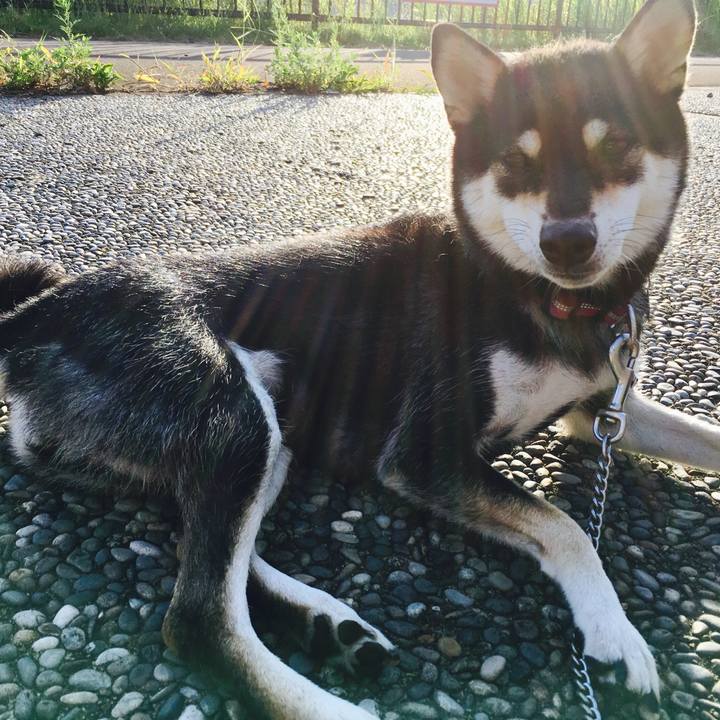 C0bdbccf 8da8 4fd1 8f9d 266306b8c971