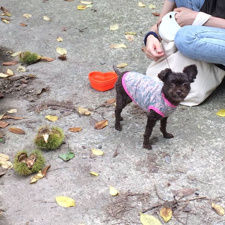 C0beb5fb 48fa 4258 ba38 d35765b5fae6