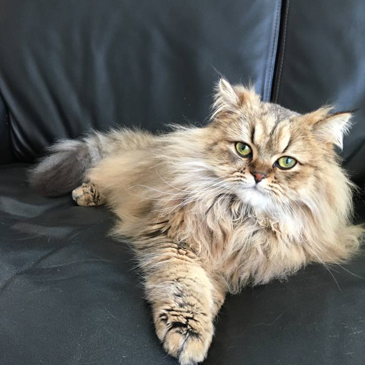 C0bef51b 90c6 43d1 a4ef c9b232980e62