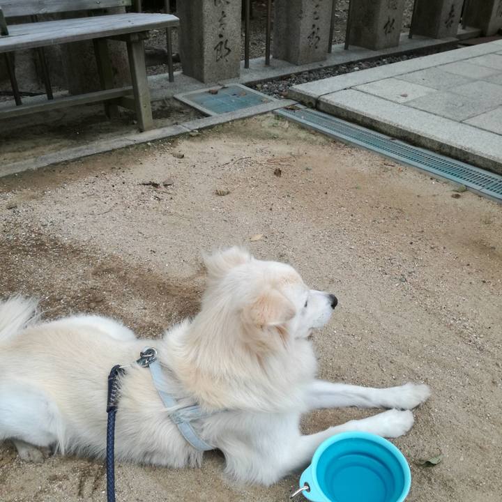 C0bef9b1 1c3e 4144 885b 67ebdc1ab5ec