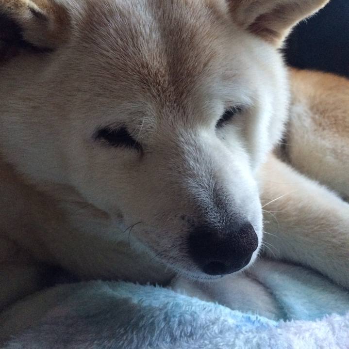 C0bfd56f 2abc 4fdf 849a 3b421fd12608