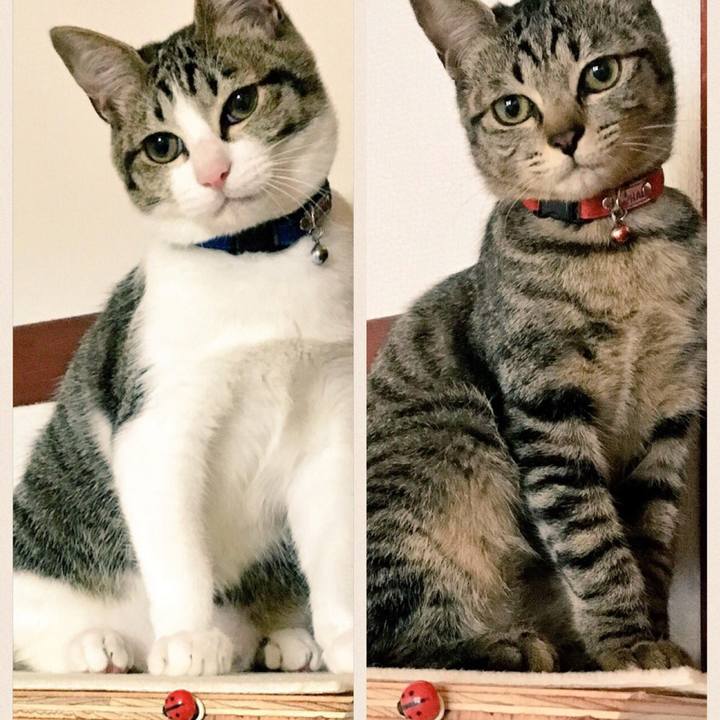 C0c03022 a516 4c71 9f79 db781706426a