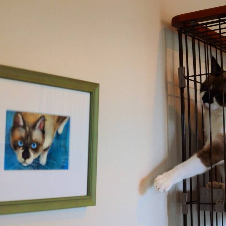 C0c04a1f c98b 4f58 aed6 b90886ccf33c