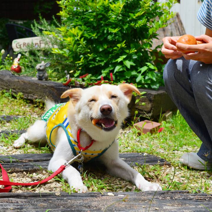 C0c04ba6 16d7 49a0 b217 e6aeedfa0a05