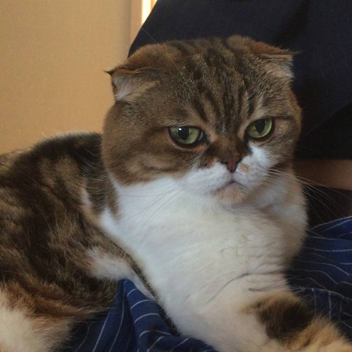 C0c068a0 aadc 4120 85d8 1da2335e3c4e