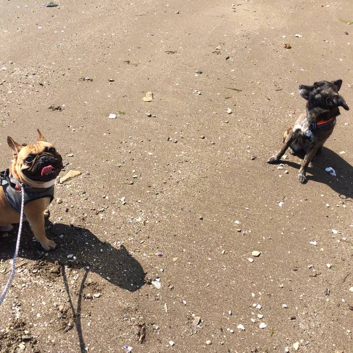 C0c12fb6 1d47 4fa2 994d 116277c8a10f