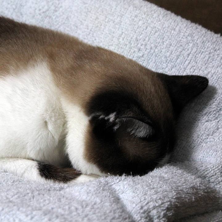 C0c13a74 ea01 49a1 8c01 02fbd60c81c8