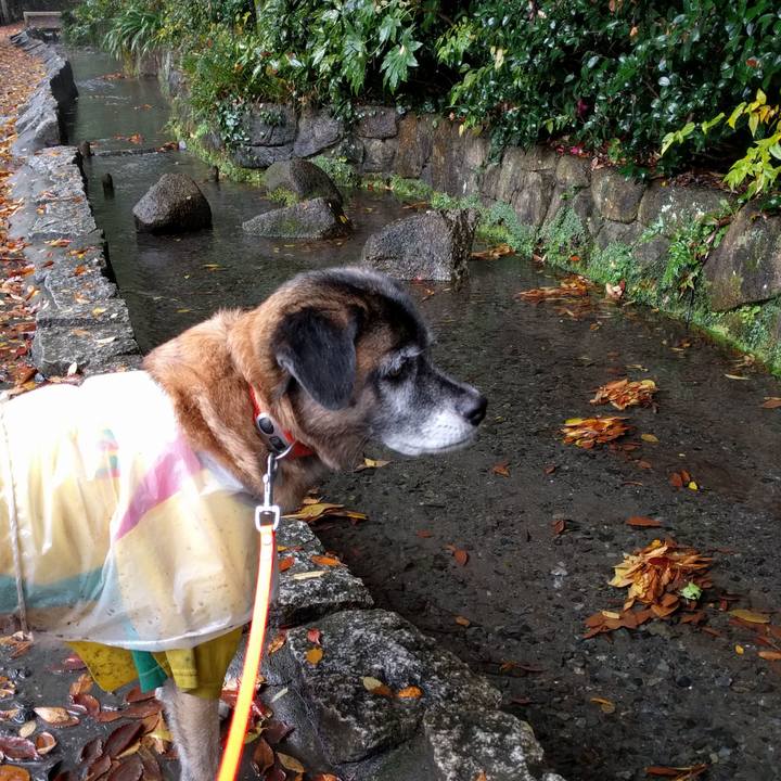 C0c15d9f f8bd 477b 98d7 87789ce7d92e