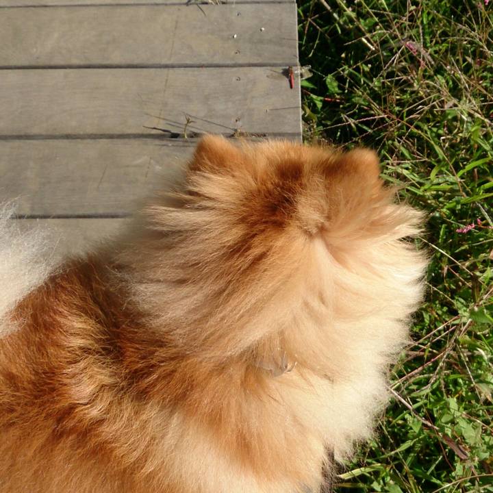 C0c161a6 a443 45bf 9ef1 866e75bbc262