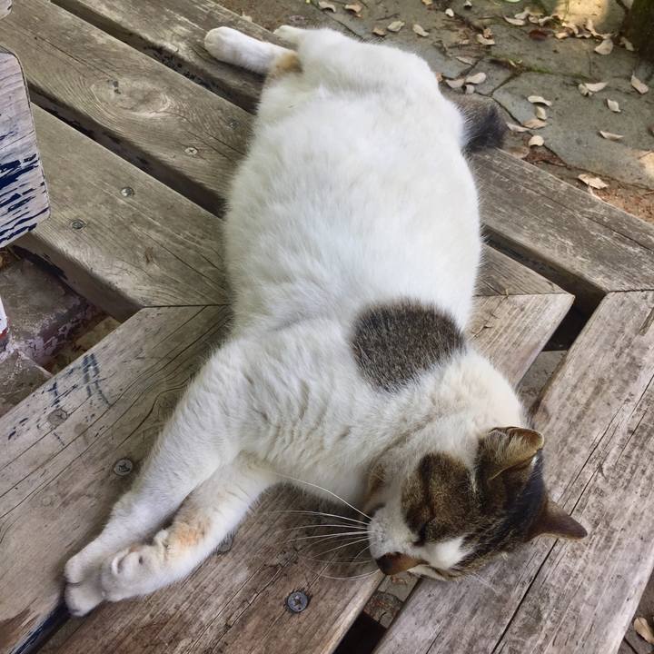 C0c1be7e 5272 4c81 b9e1 26cce471c707