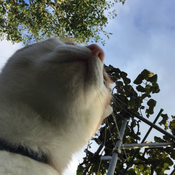 C0c1d5da b018 4f2a 9a9a 6a00ddde12c5