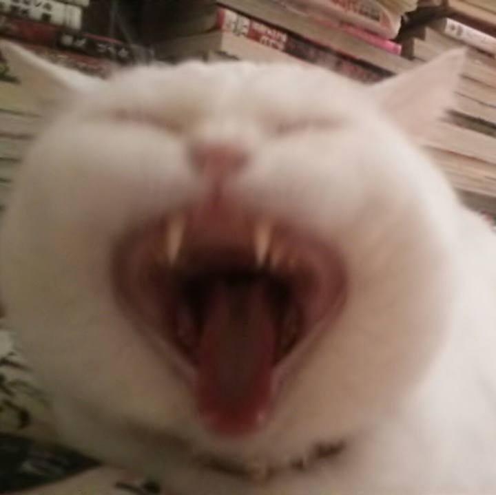 C0c27174 effc 433a 9c70 051188e2b512