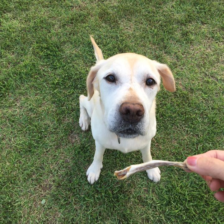 C0c27273 6ef2 4249 a951 7b7d63ff084c