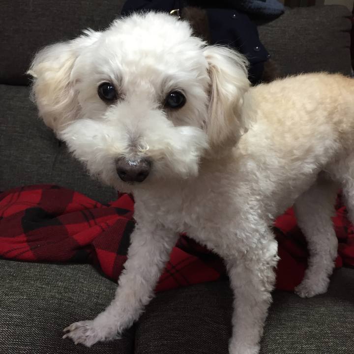 C0c29c77 a928 4b48 8dfe d5f91abb26c0