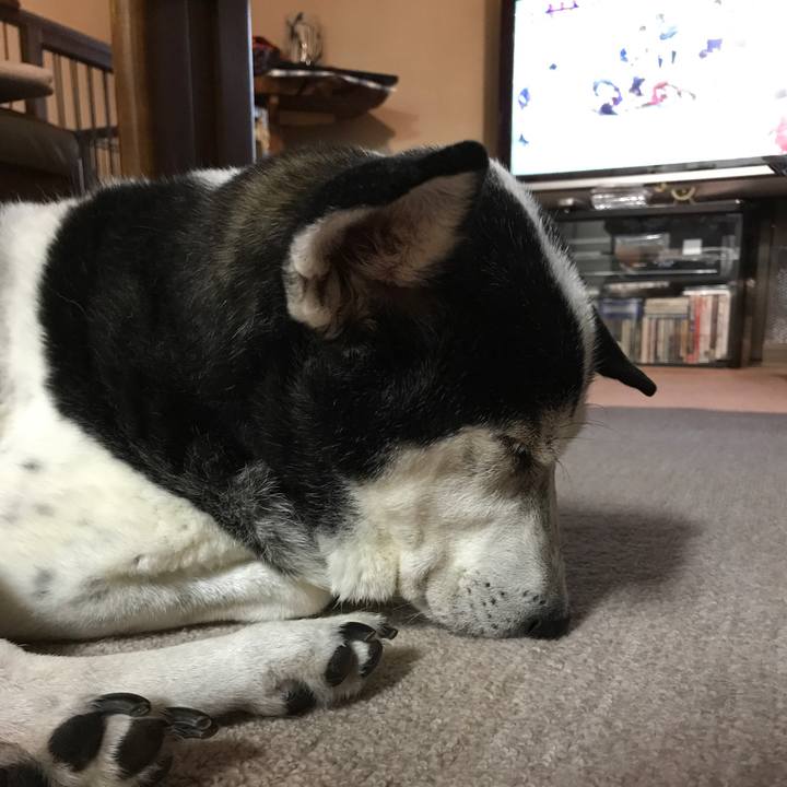 C0c30f17 7275 46d0 a62f e3cd095078d0