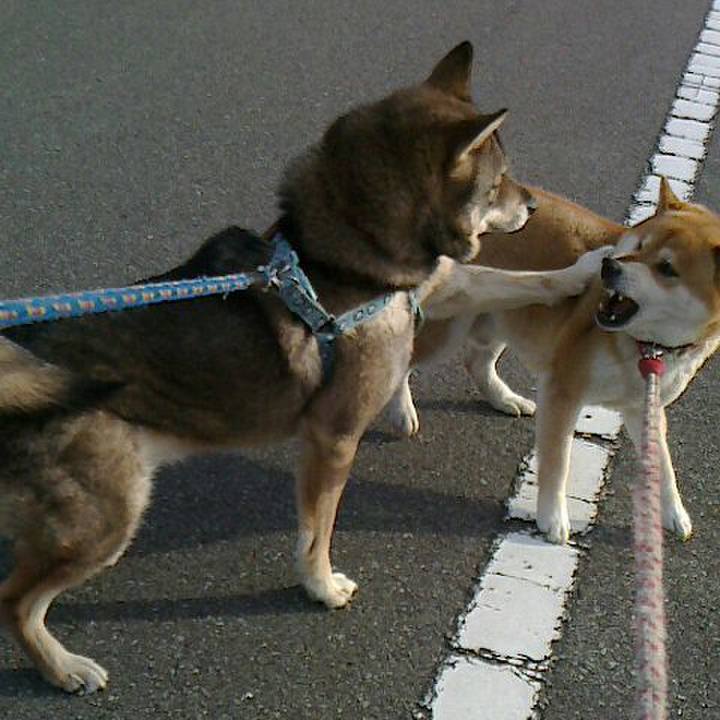 C0c35139 b17f 4a6d 8c7e 6ace51591ef5