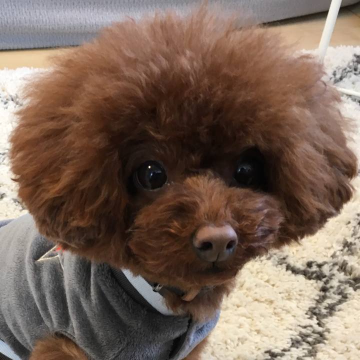 C0c359e7 2166 4539 afa5 793d13b98421