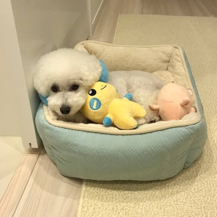 C0c3a5be 974a 4504 a999 6e444a442310