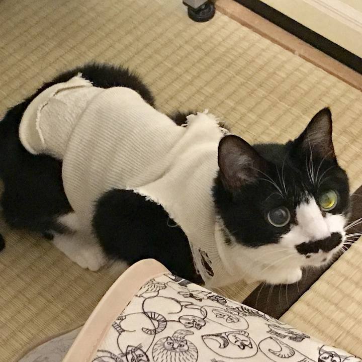 C0c4405d f647 420a 89c6 e59ea6dafd86